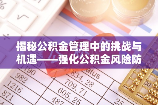 古冶揭秘公积金管理中的挑战与机遇——强化公积金风险防控的多维策略