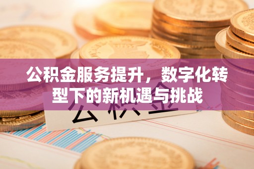 古冶公积金服务提升，数字化转型下的新机遇与挑战