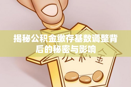 古冶揭秘公积金缴存基数调整背后的秘密与影响