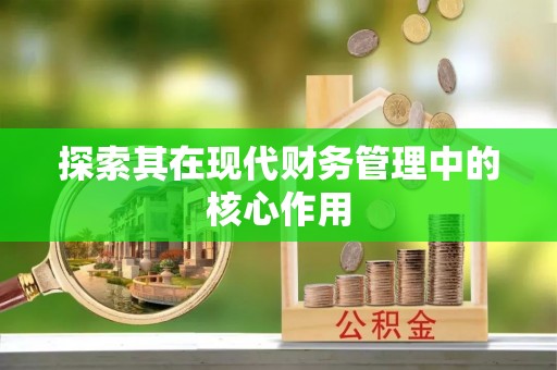 古冶探索其在现代财务管理中的核心作用