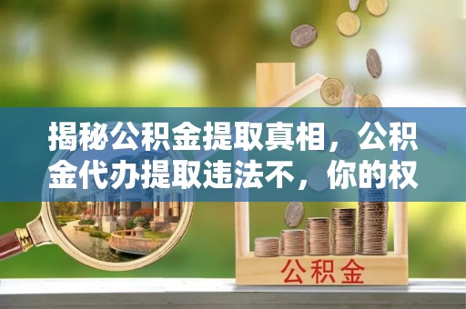 古冶揭秘公积金提取真相，公积金代办提取违法不，你的权益如何保障？