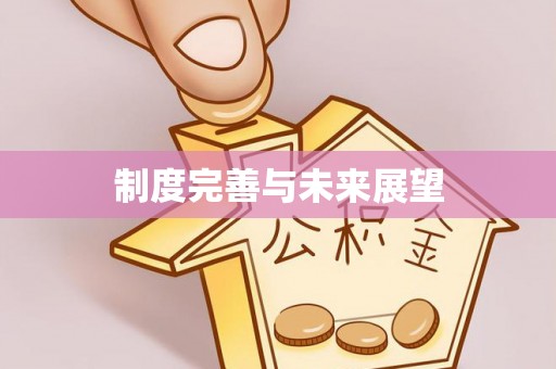 古冶制度完善与未来展望