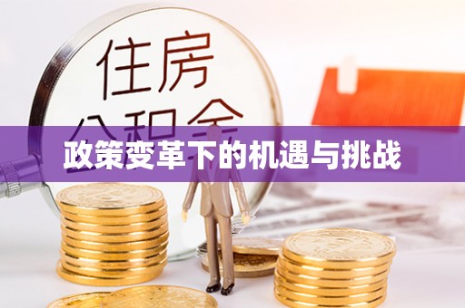 古冶政策变革下的机遇与挑战