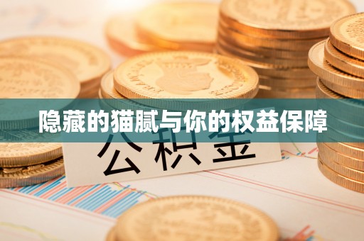 古冶隐藏的猫腻与你的权益保障