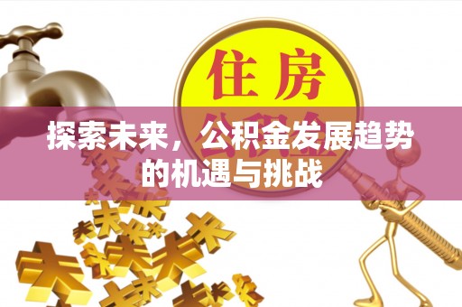 古冶探索未来，公积金发展趋势的机遇与挑战