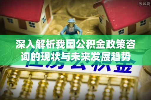 古冶深入解析我国公积金政策咨询的现状与未来发展趋势